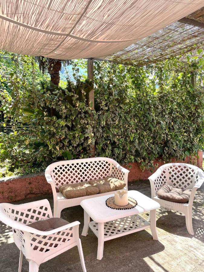 شقة Cozy Little House كوتور المظهر الخارجي الصورة