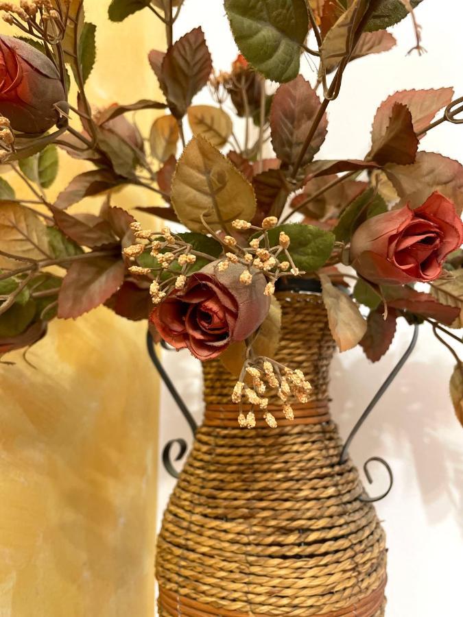 شقة Cozy Little House كوتور المظهر الخارجي الصورة